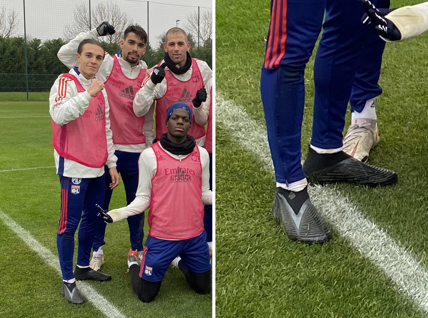 动物油熬炼设备