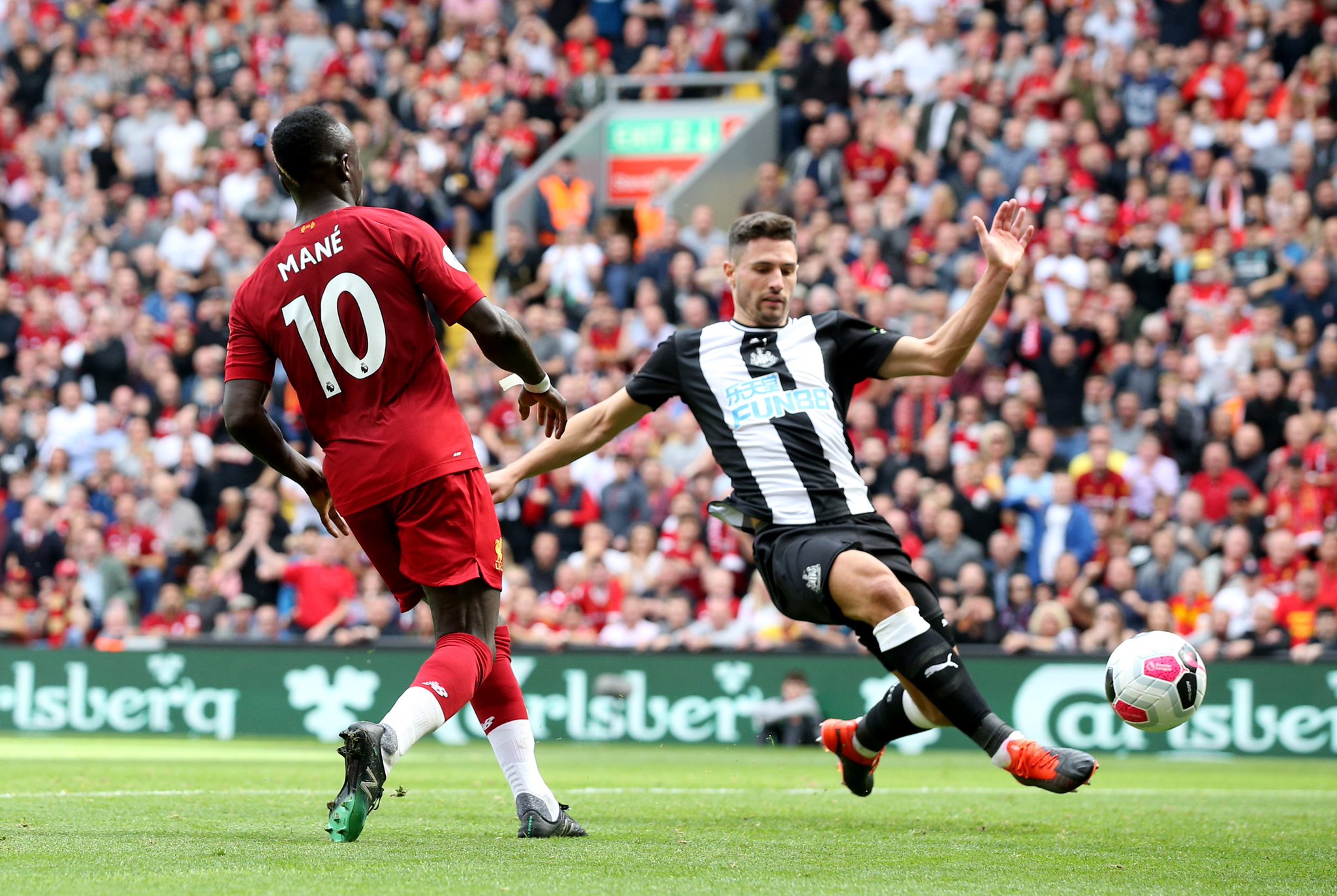 小规模的茶籽油生产线