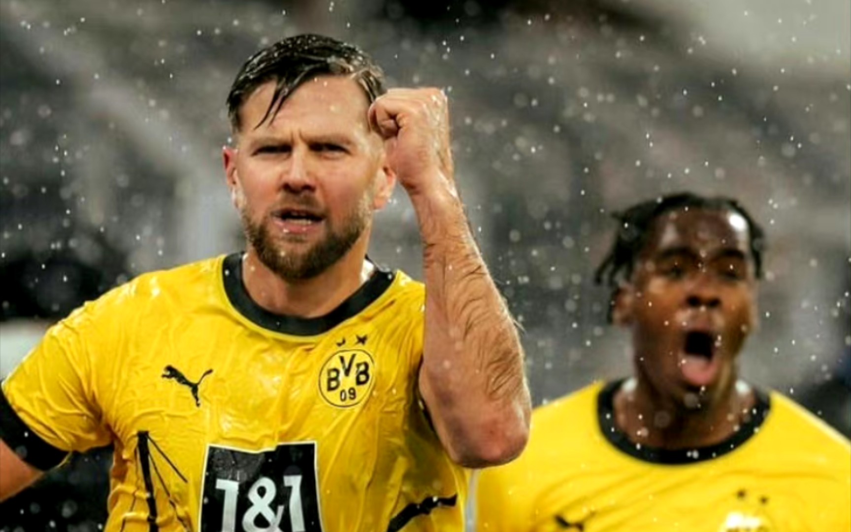 动物油熬练的工艺流程？一图带你解读