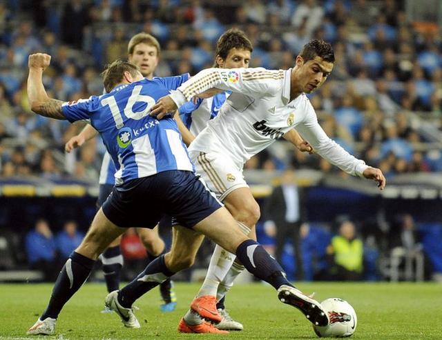 动物油熬炼设备