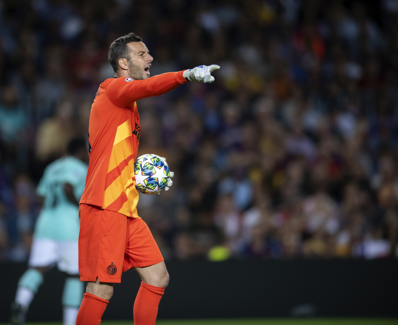 动物油熬炼设备